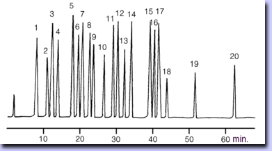 10070 Seite.gif (15768 Byte)