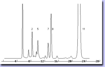 10085d Seite.gif (6607 Byte)